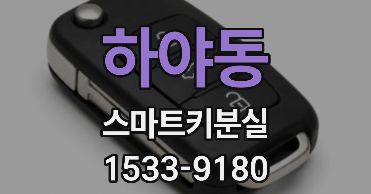 하야동 스마트키분실