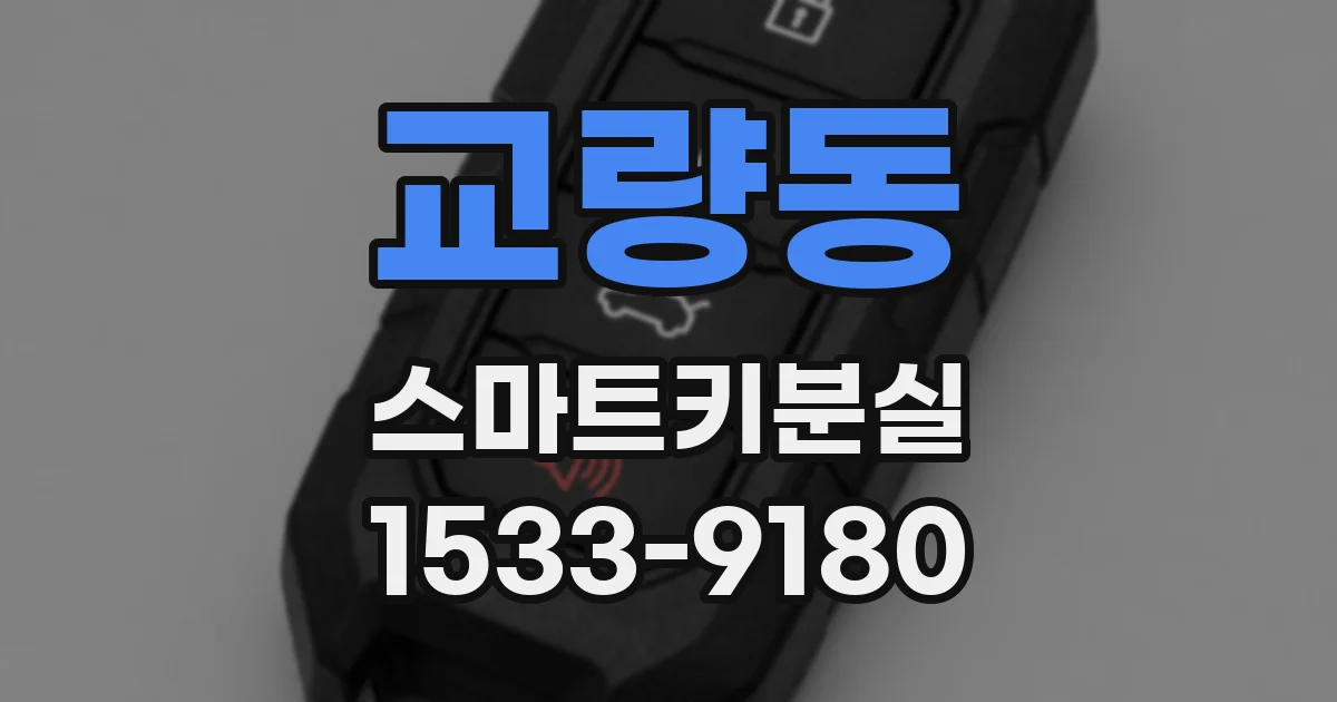 교량동 스마트키분실