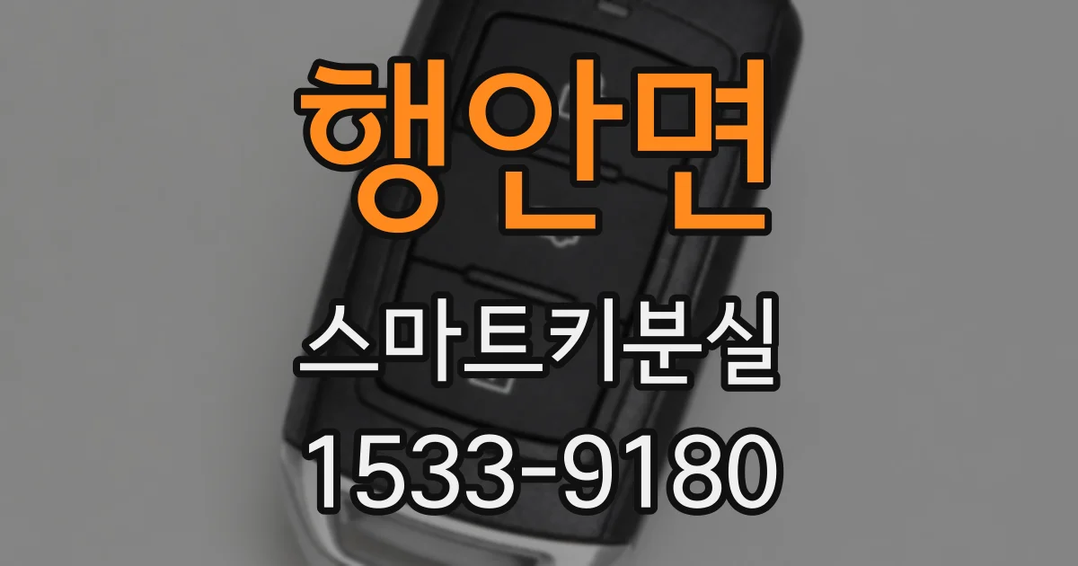 행안면 스마트키분실