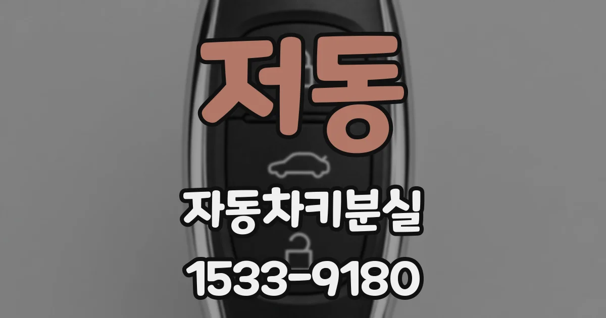 저동 자동차키분실