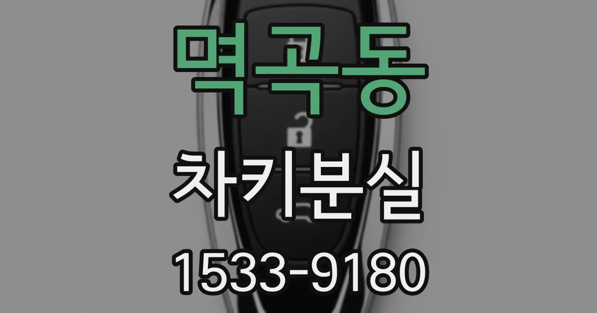멱곡동 차키분실