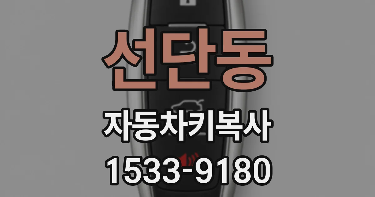 선단동 자동차키복사