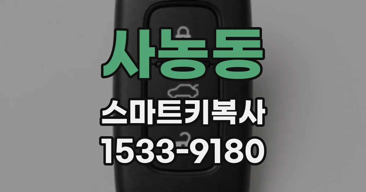 사농동 스마트키복사