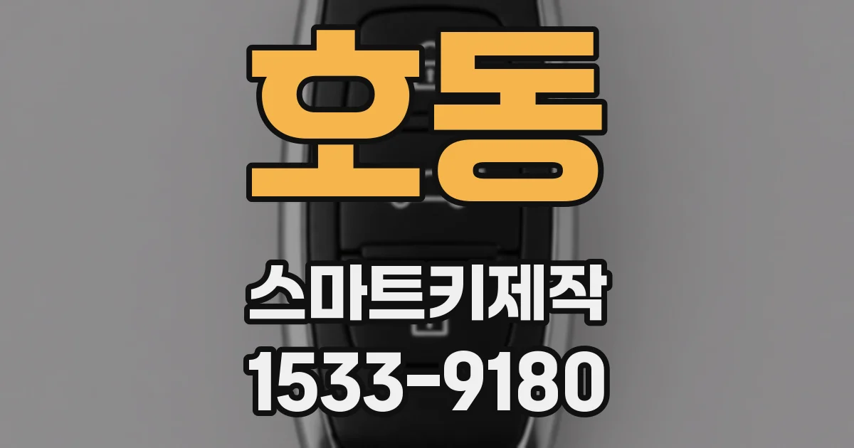 호동 스마트키제작