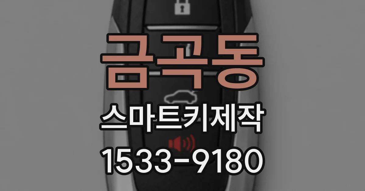 금곡동 스마트키제작