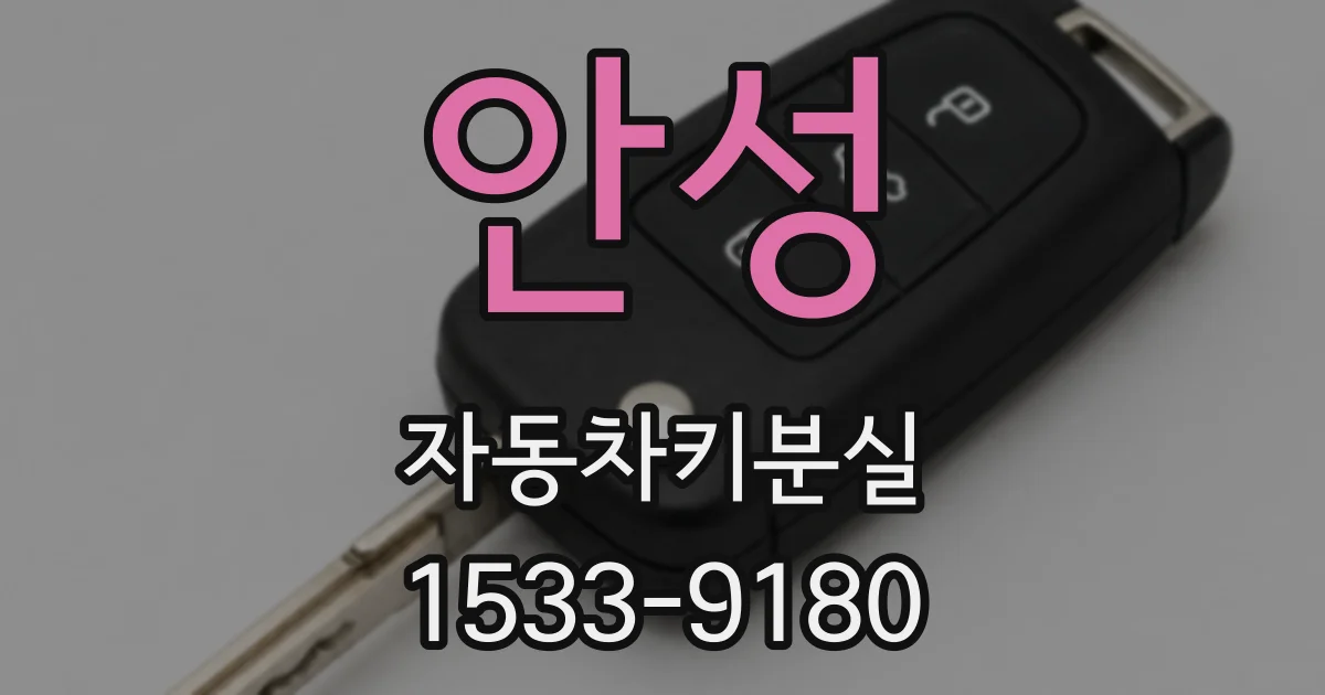 안성 자동차키분실