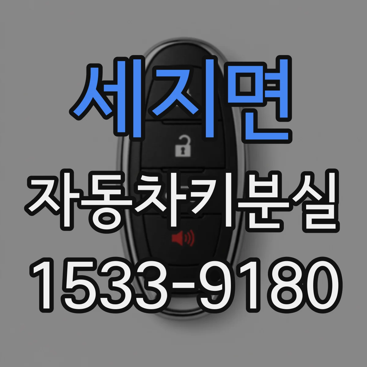 세지면 자동차키분실