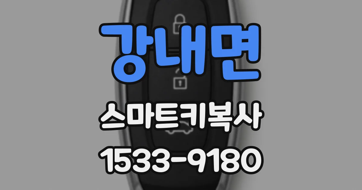 강내면 스마트키복사