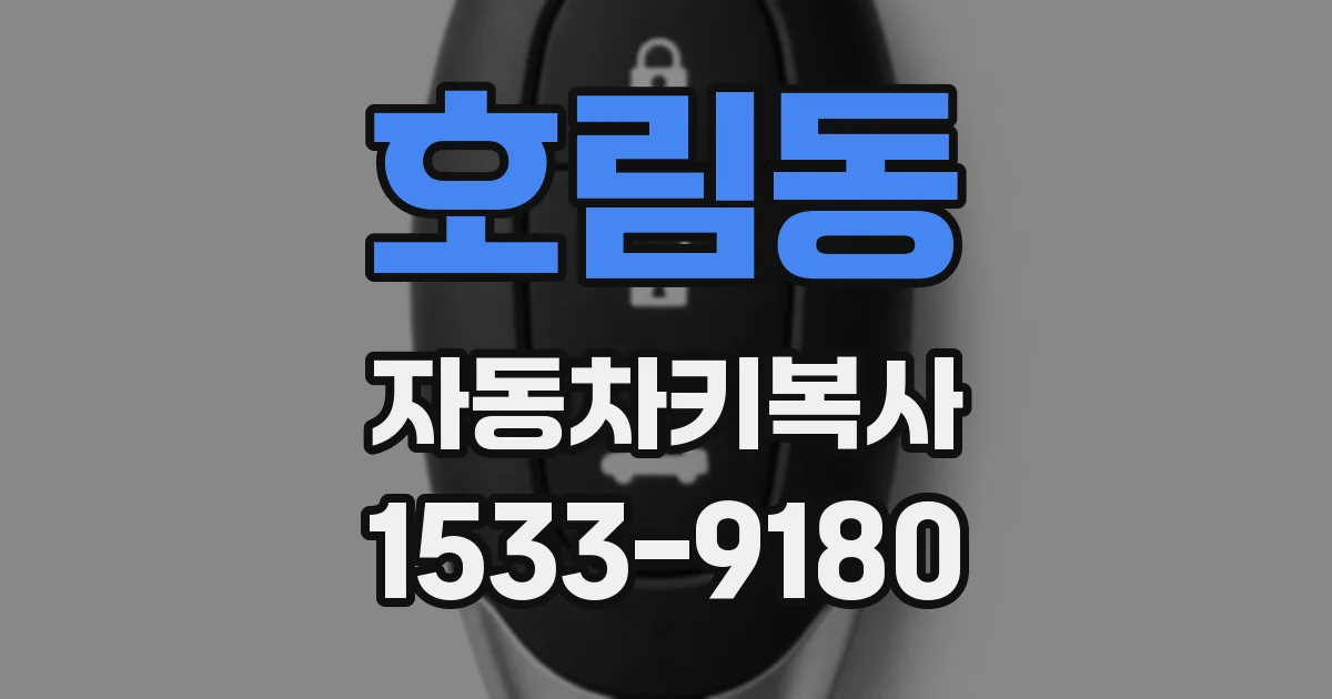 호림동 자동차키복사