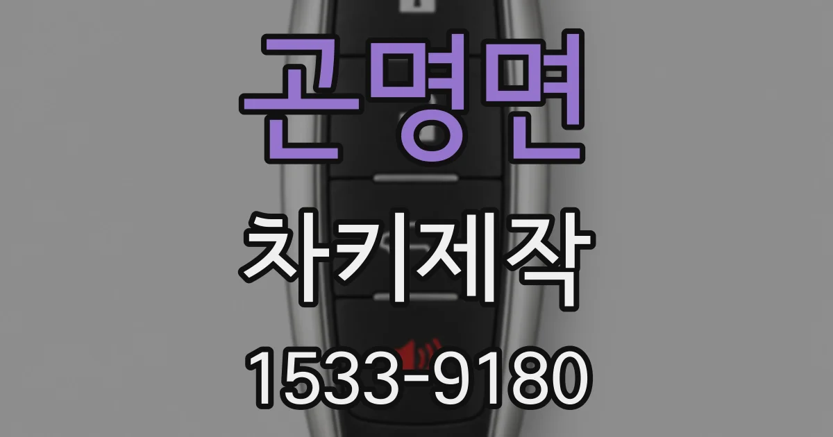 곤명면 차키제작