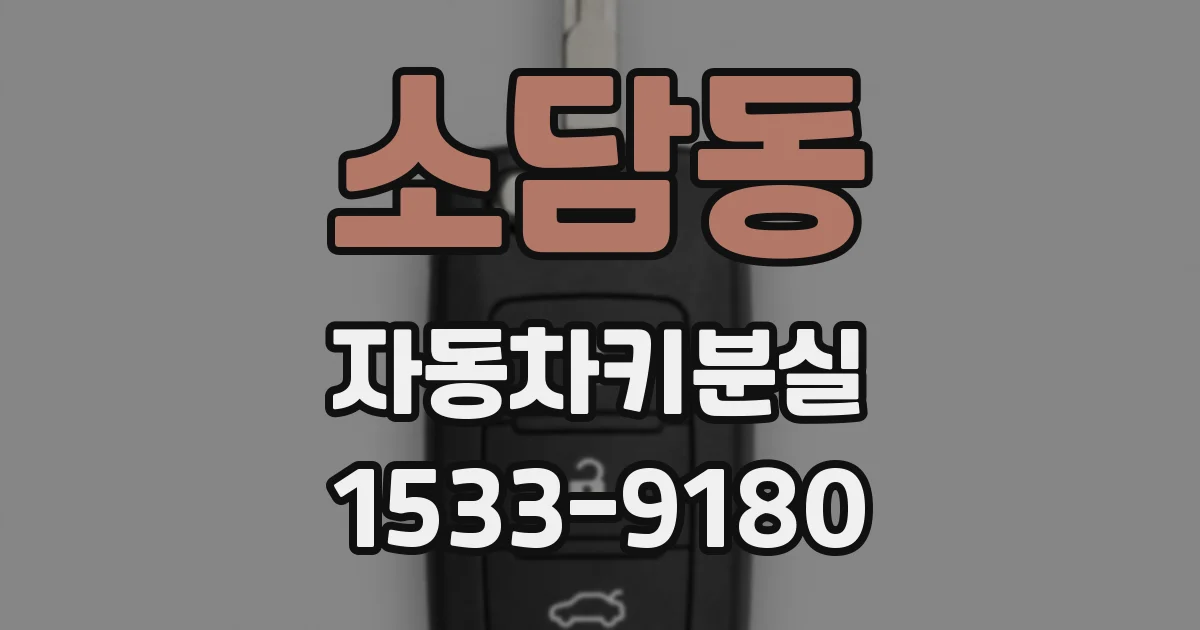 소담동 자동차키분실
