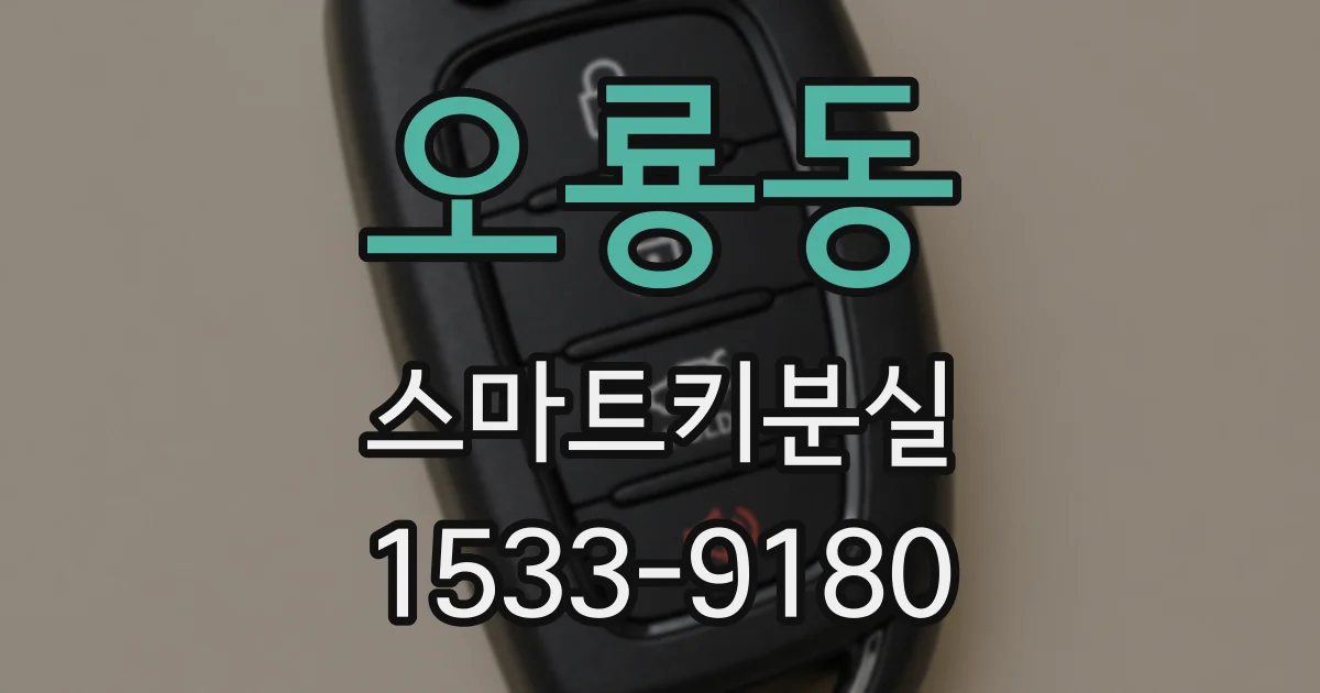 오룡동 스마트키분실