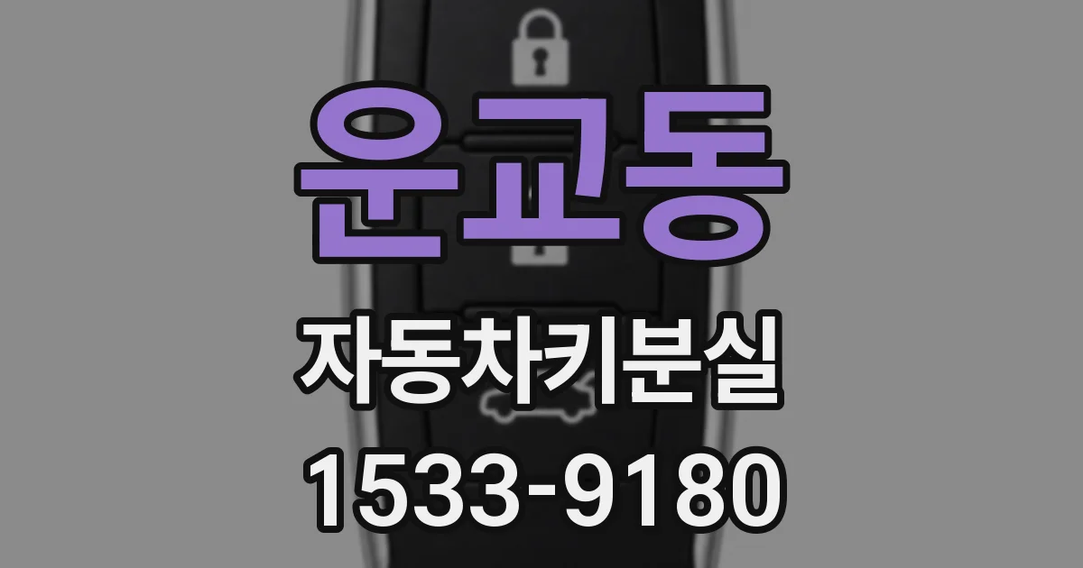 운교동 자동차키분실