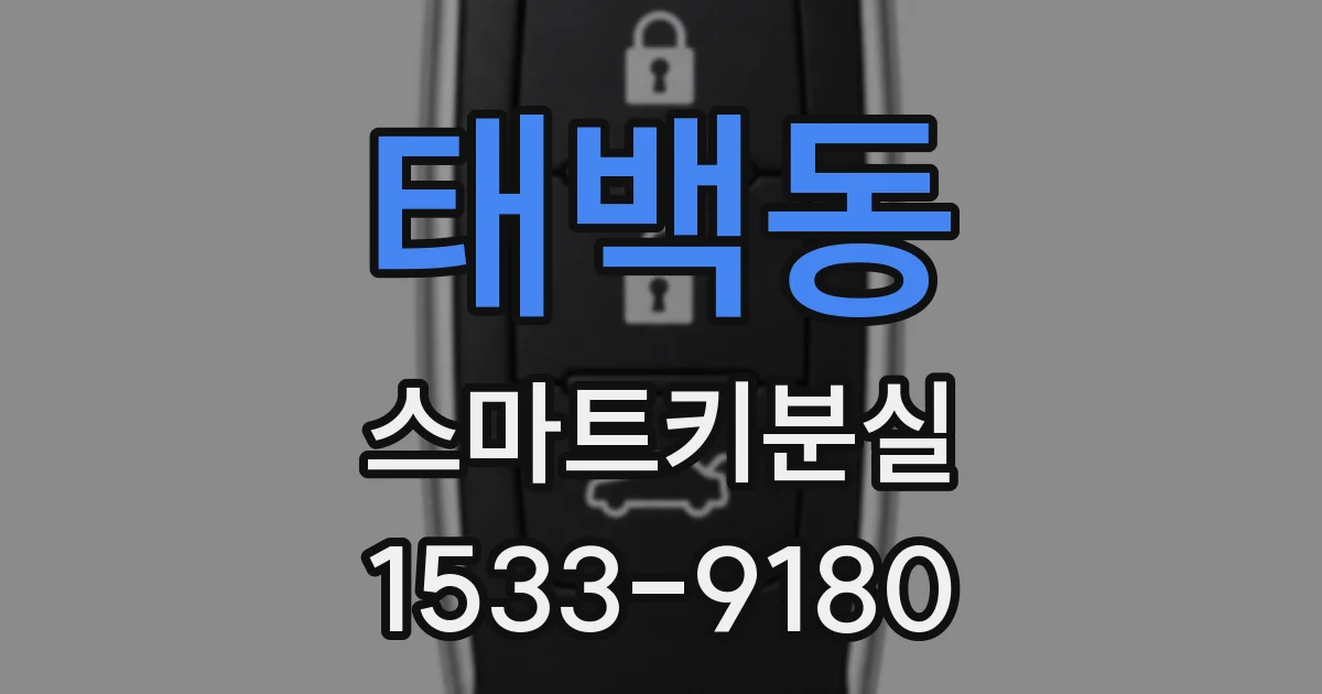 태백동 스마트키분실