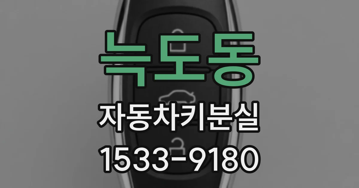 늑도동 자동차키분실