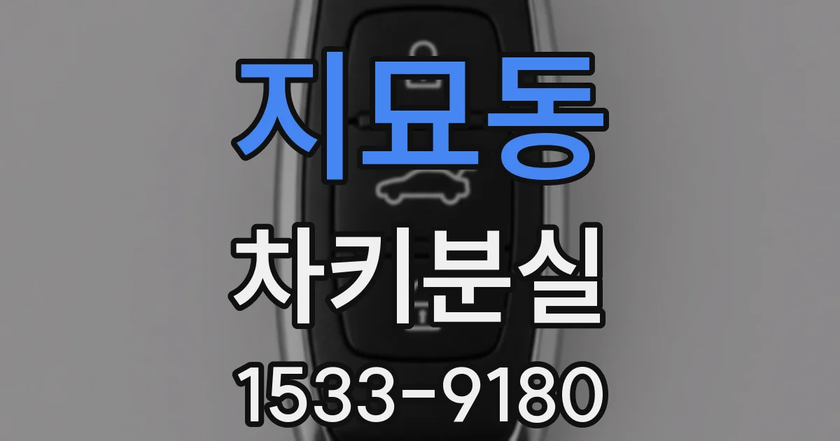 지묘동 차키분실