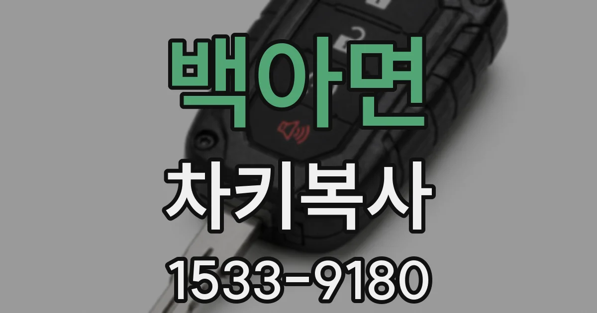 백아면 차키복사
