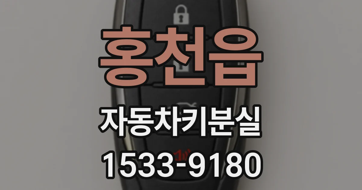 홍천읍 자동차키분실
