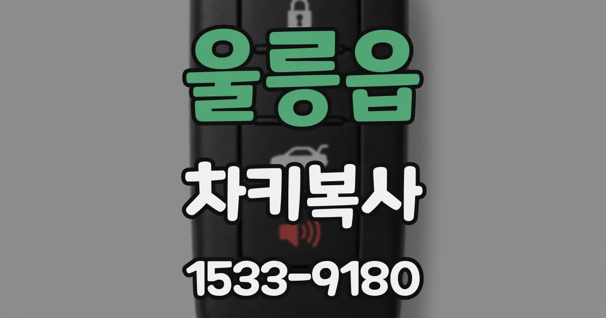 울릉읍 차키복사