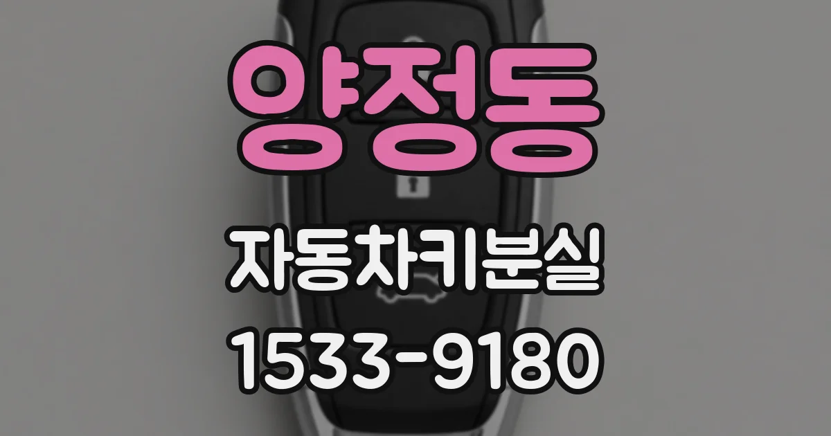 양정동 자동차키분실