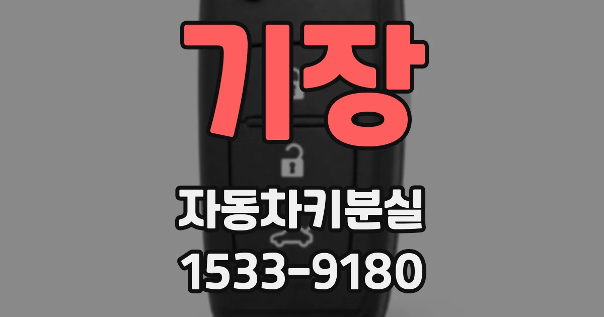 기장 자동차키분실