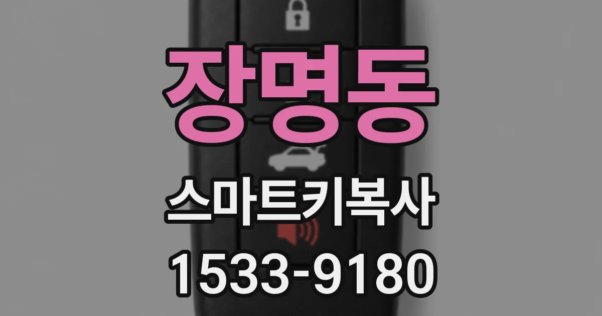 장명동 스마트키복사