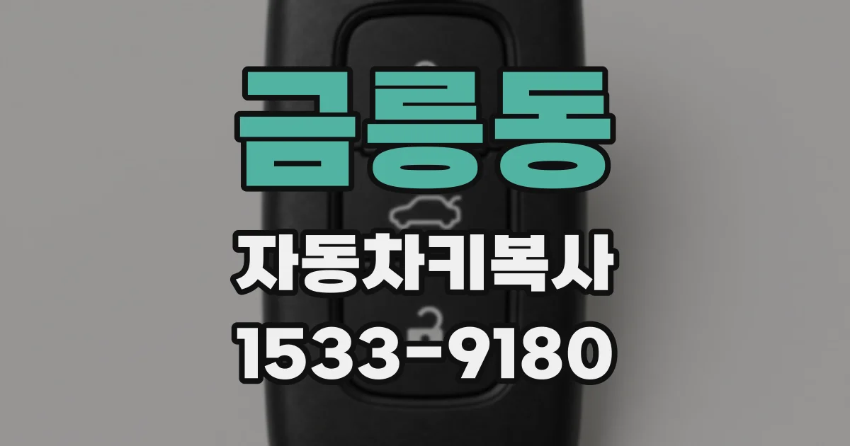 금릉동 자동차키복사