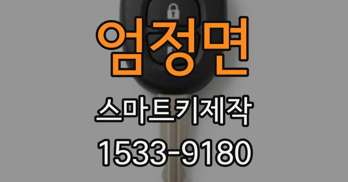 엄정면 스마트키제작