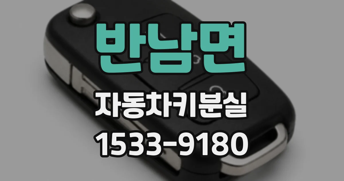 반남면 자동차키분실