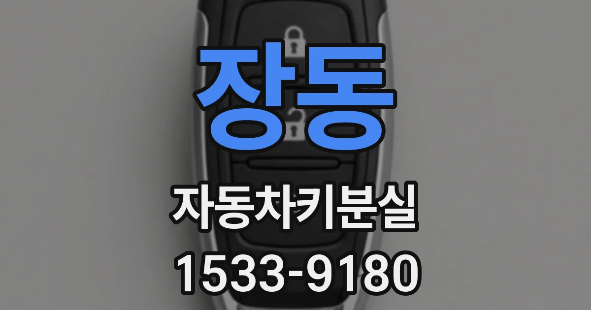 장동 자동차키분실