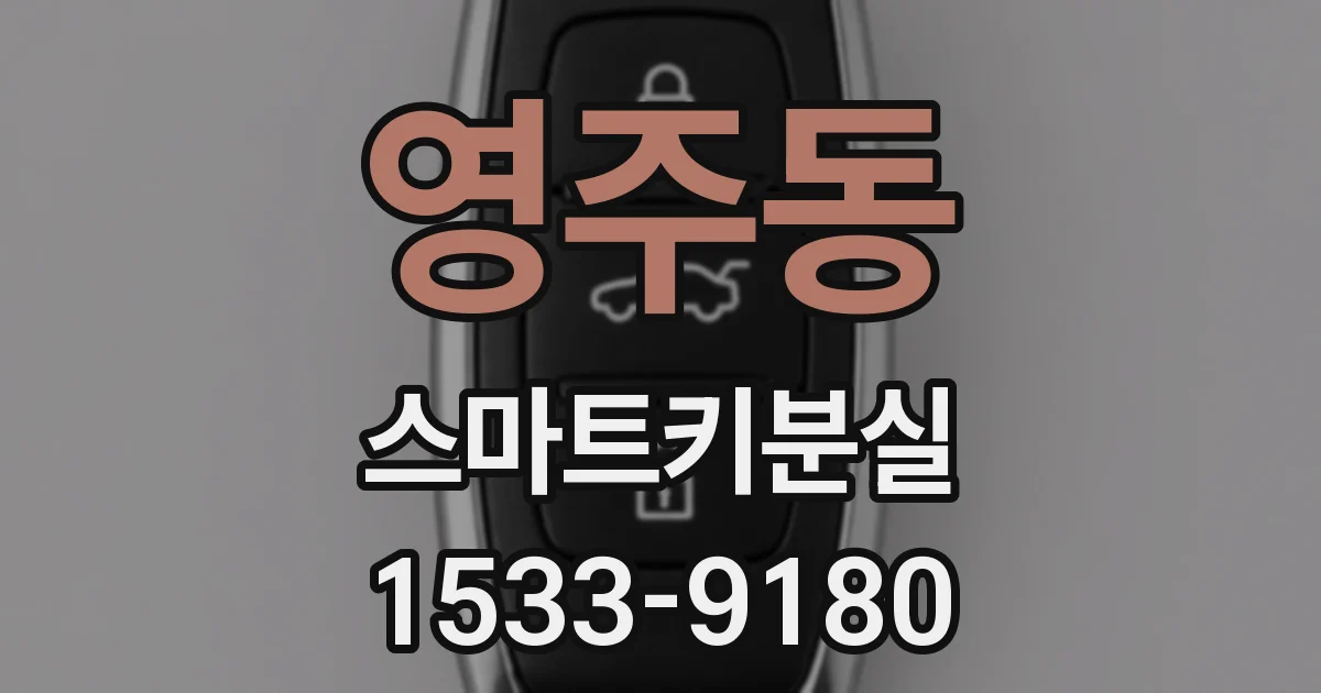 영주동 스마트키분실