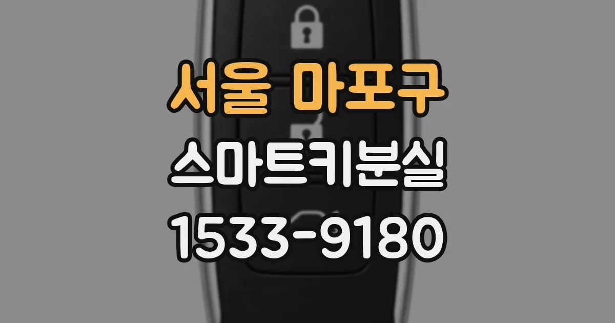 서울 마포구 스마트키분실
