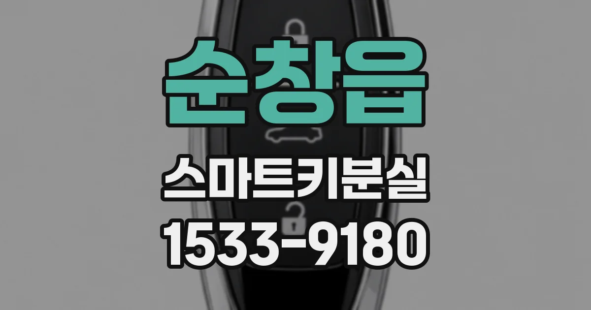 순창읍 스마트키분실