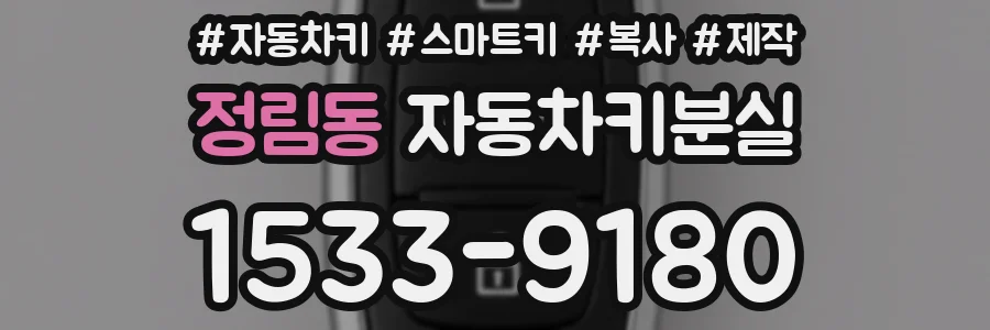 정림동 자동차키분실