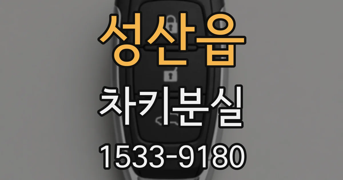 성산읍 차키분실