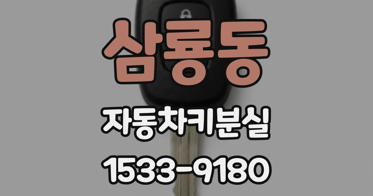 삼룡동 자동차키분실
