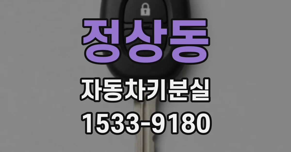 정상동 자동차키분실