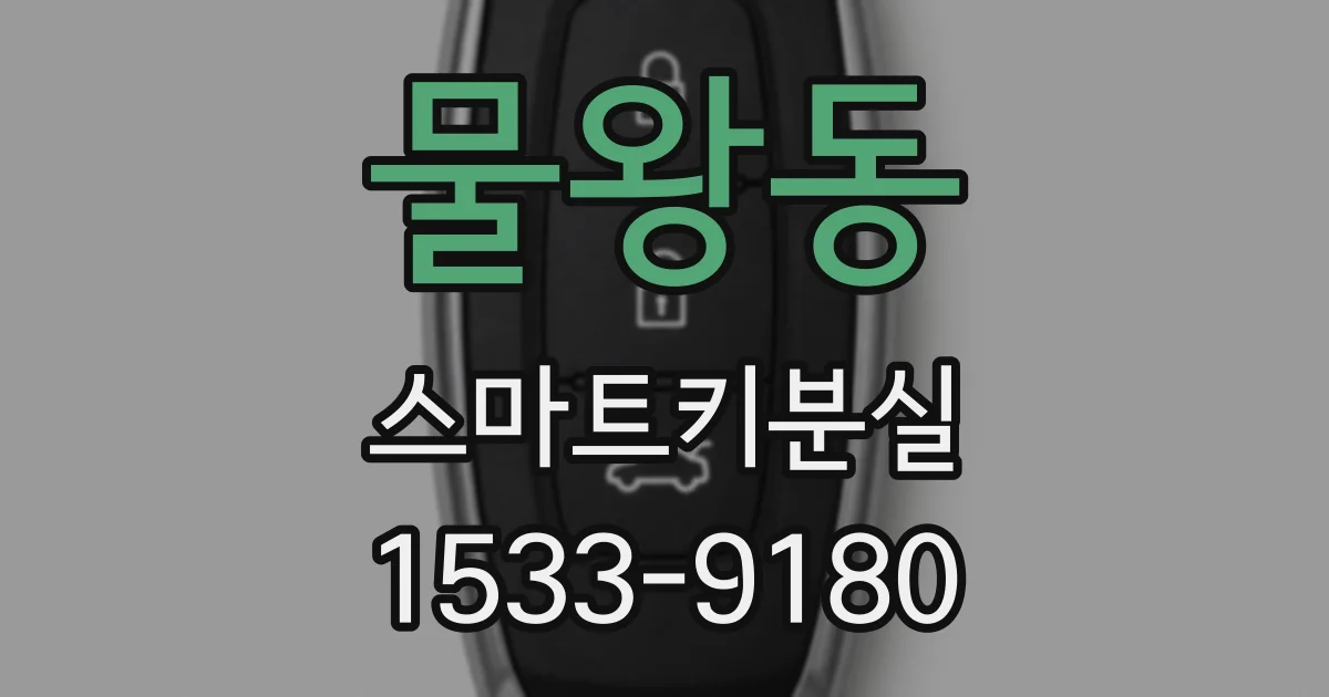 물왕동 스마트키분실