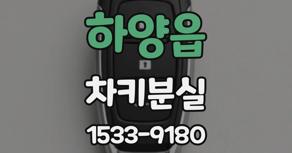 하양읍 차키분실