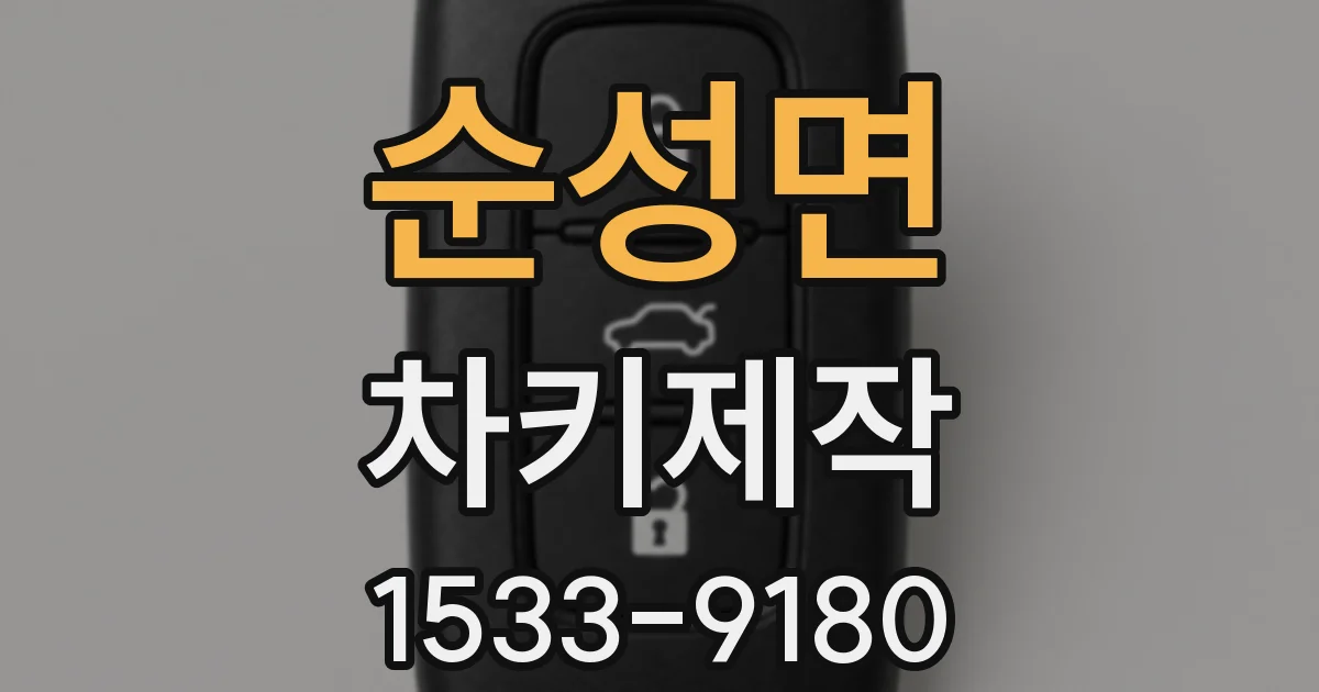 순성면 차키제작