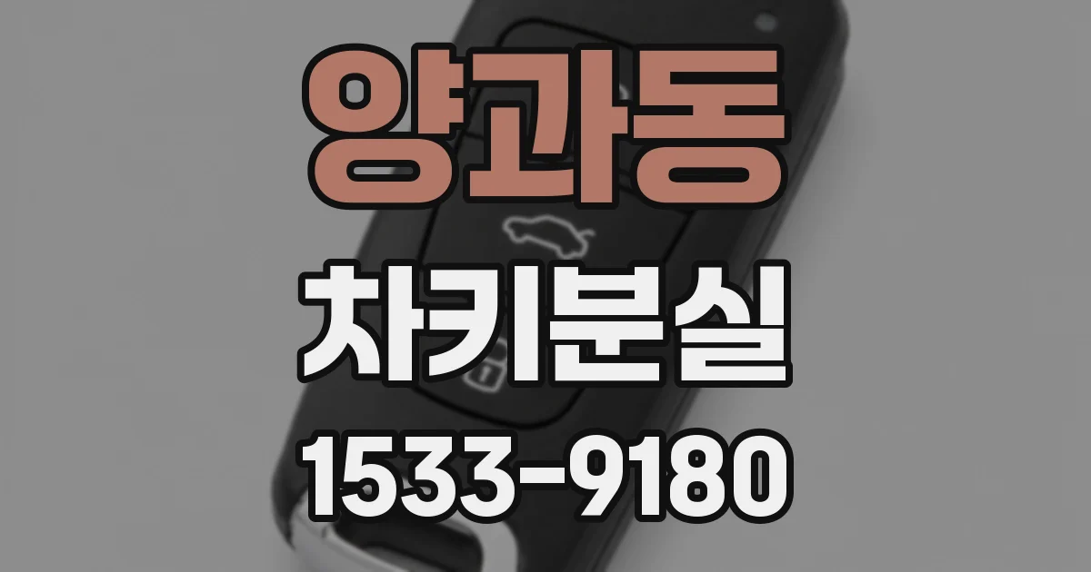 양과동 차키분실