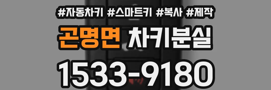 곤명면 차키분실