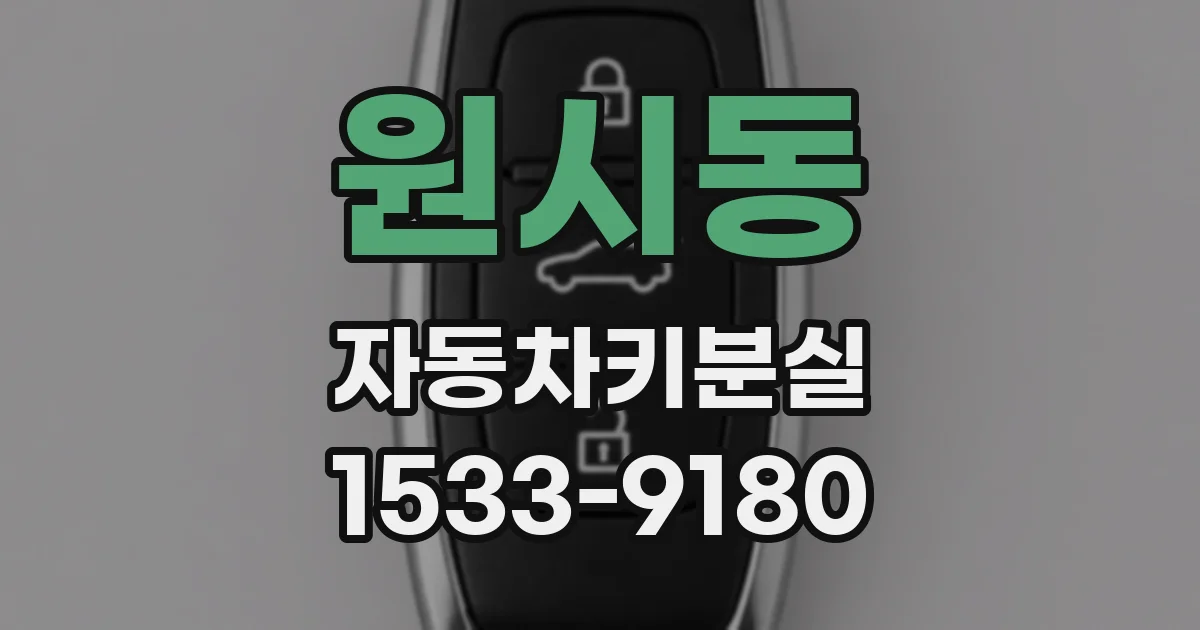 원시동 자동차키분실