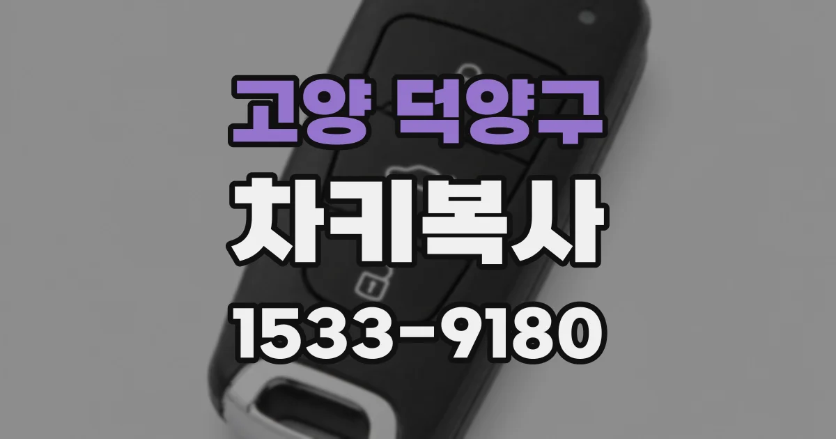 고양 덕양구 차키복사