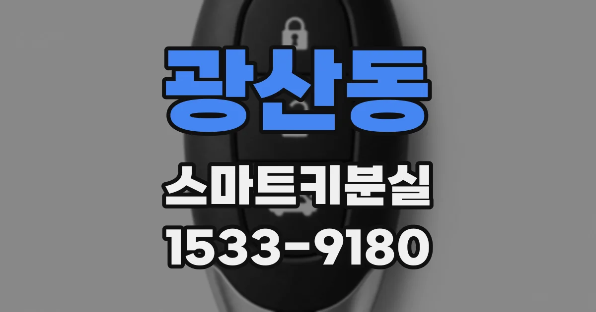 광산동 스마트키분실