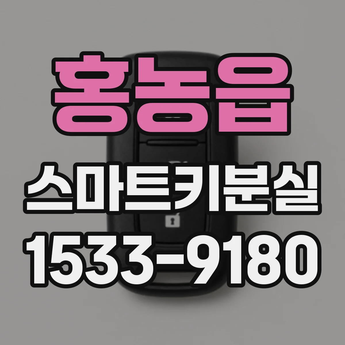 홍농읍 스마트키분실