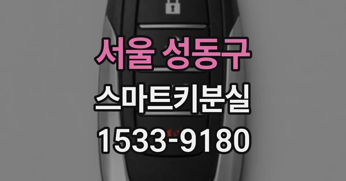서울 성동구 스마트키분실