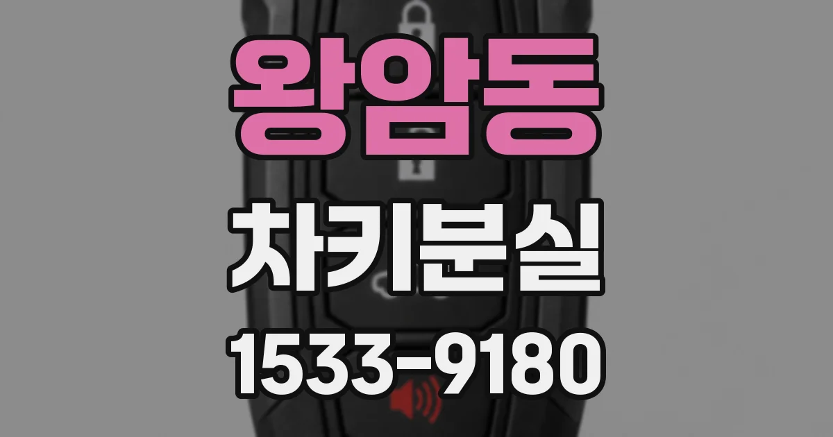 왕암동 차키분실