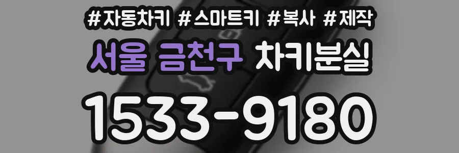 서울 금천구 차키분실