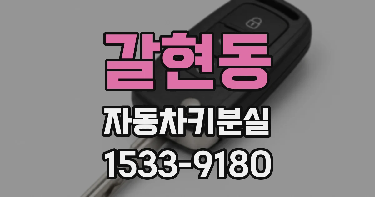 갈현동 자동차키분실